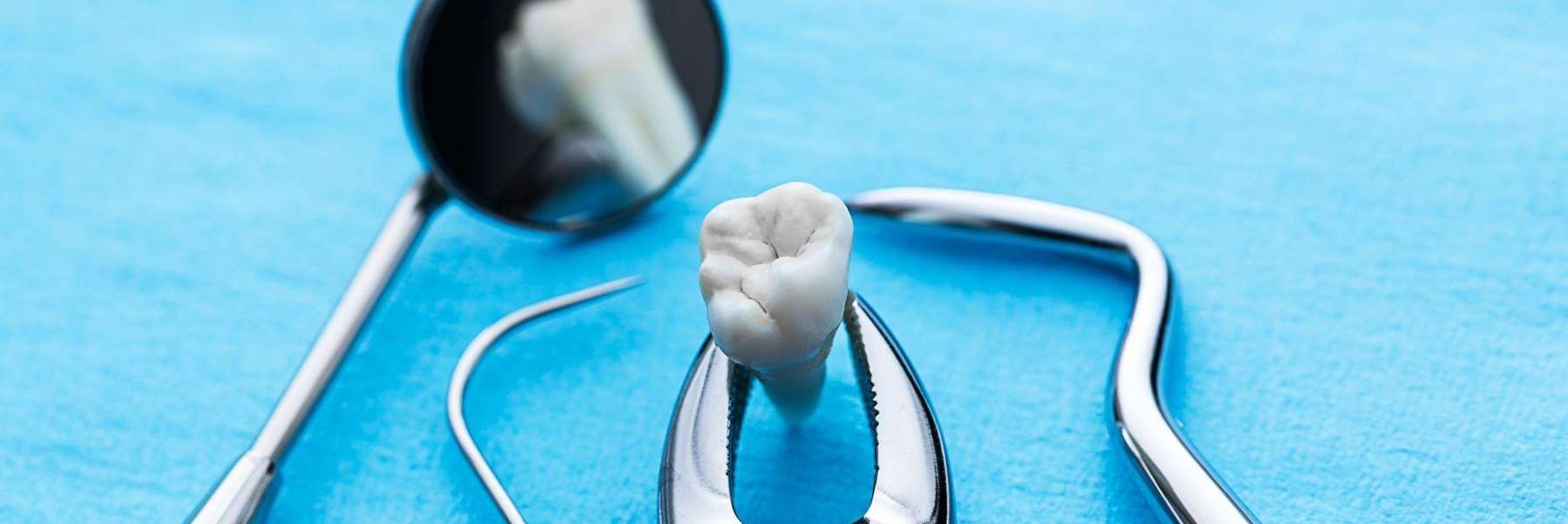 Picture of tooth extraction equipment and a tooth in Burnaby, BC